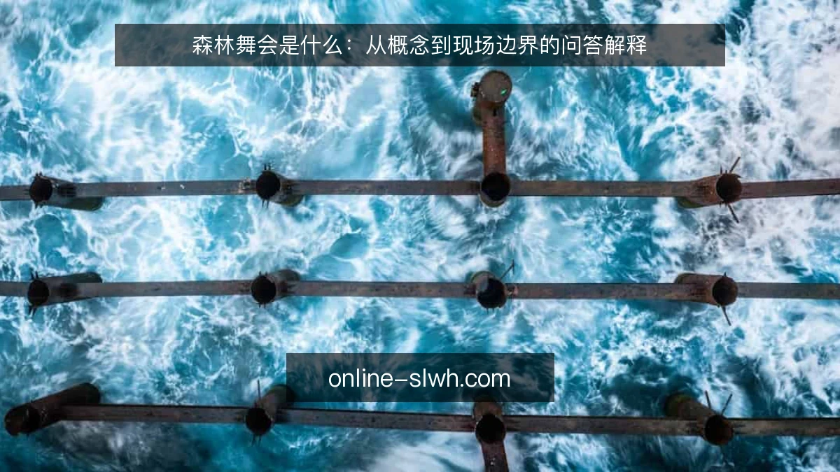 森林舞会是什么：从概念到现场边界的问答解释